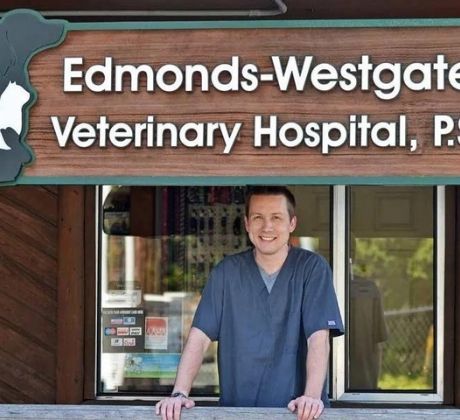 Contact Edmonds-Westgate Veterinary Hospital