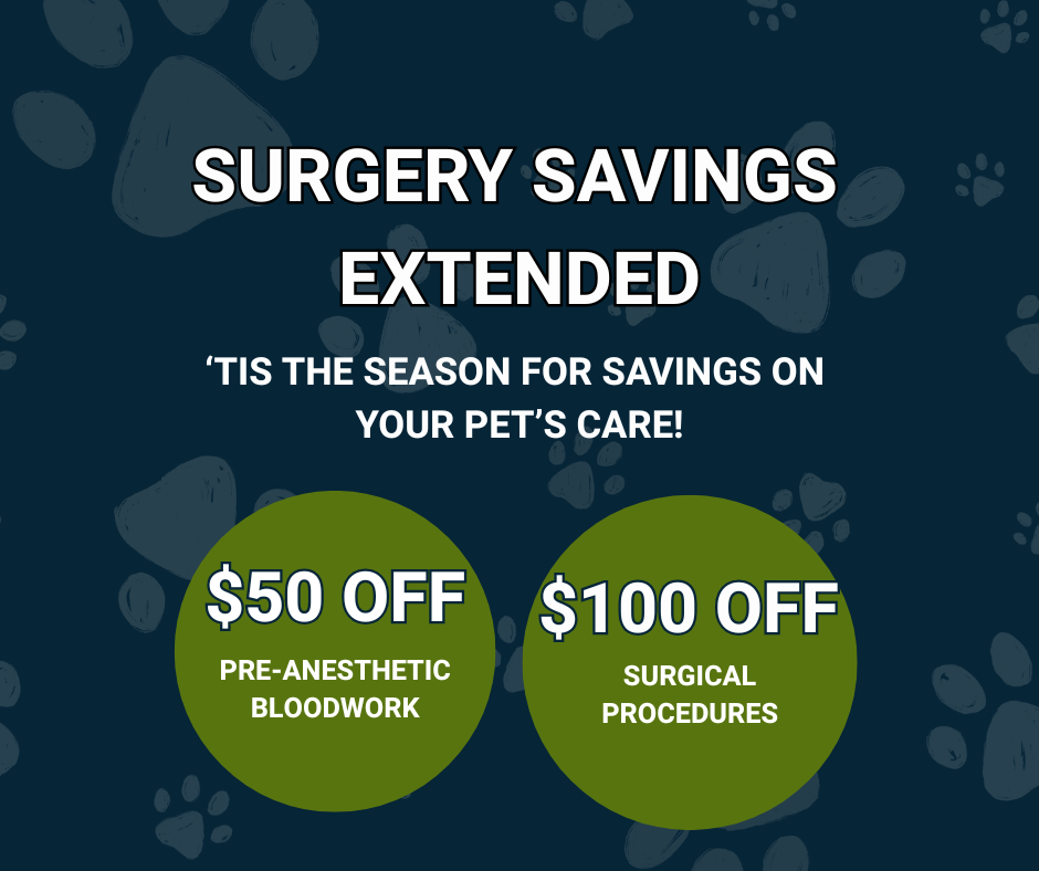 Surgery Savings Extended